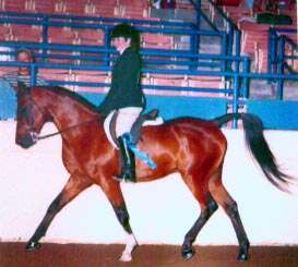 chessie1.jpg